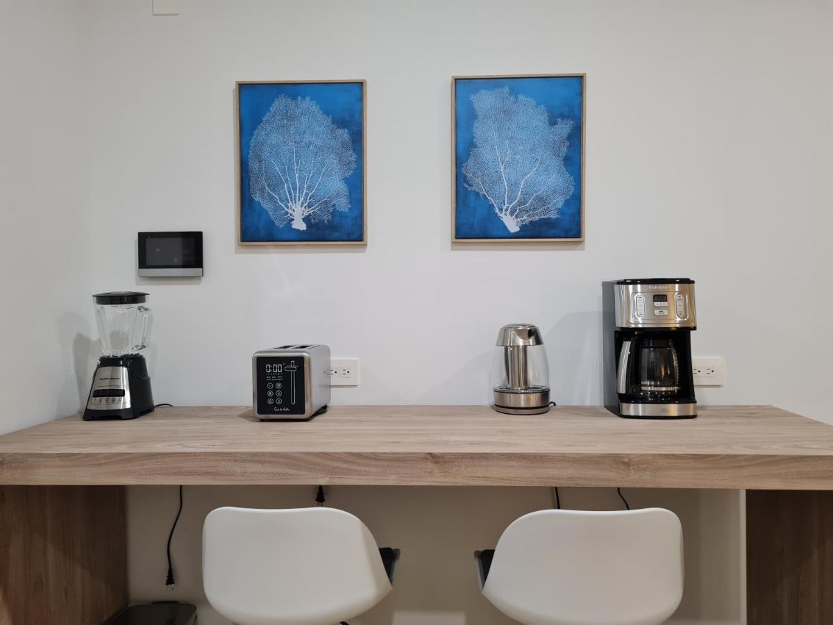 Luxury Studios On The 5Th Avenue Ocean View Rooftop I By Yeah 신데 델 카르멘 외부 사진